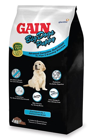 Gain Elite Big Dog Puppy 12kg